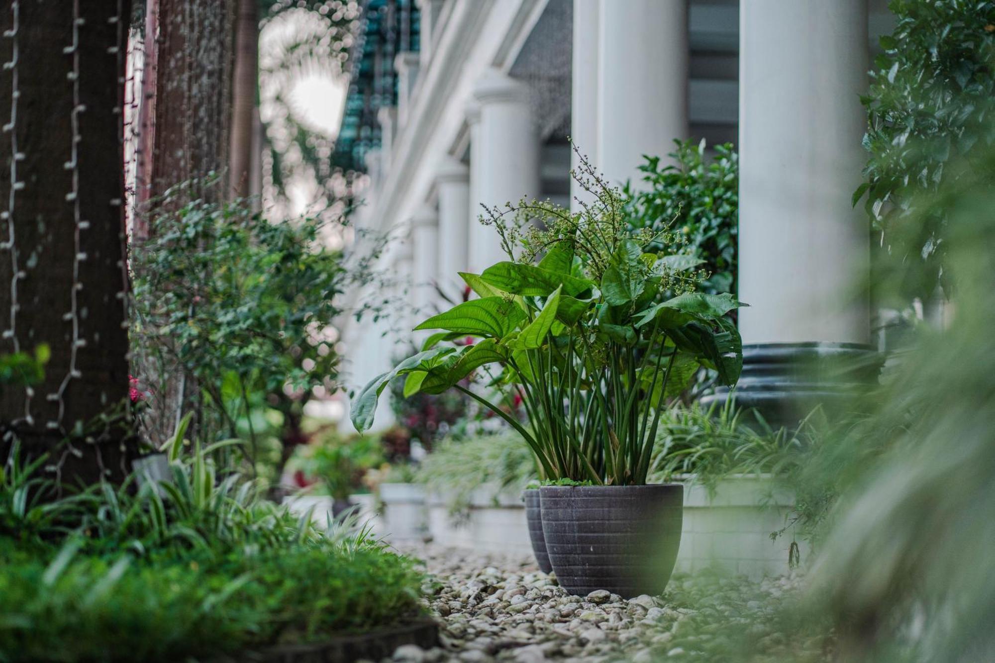 May Plaza Hotel Thái Nguyên エクステリア 写真